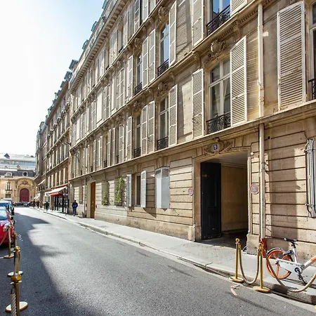 Nochichi-collections - Saint-honore Parigi